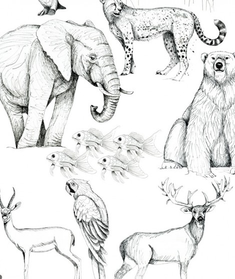 ANIMALS I Papel pintado