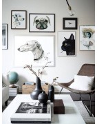 GALLERIE CATS&DOGS